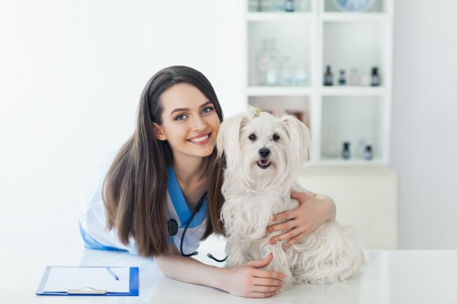 宠物犬皮肤出现红斑并伴随着瘙痒等情况的时候它有可能得了疥螨病